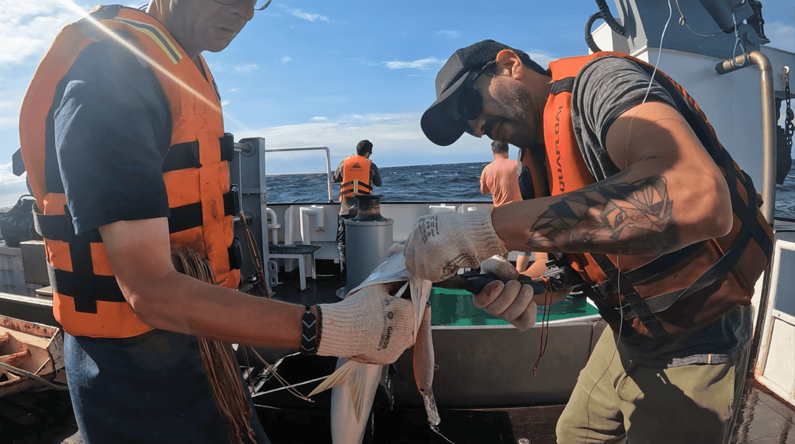 2026 01 19 14 24 34 1