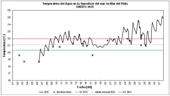 Grafico temperatura enero 2025