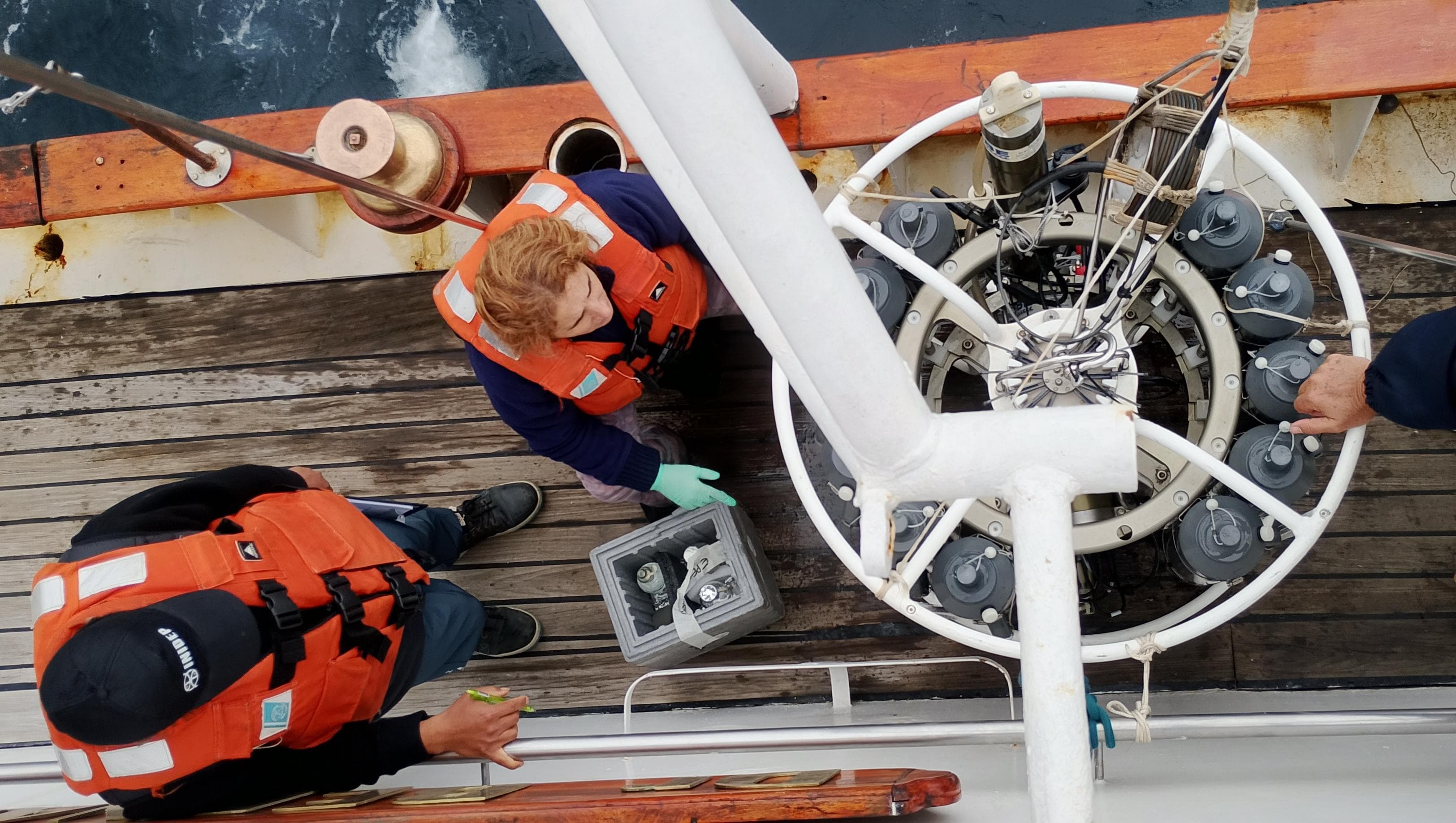 foto cuerpo nota epea